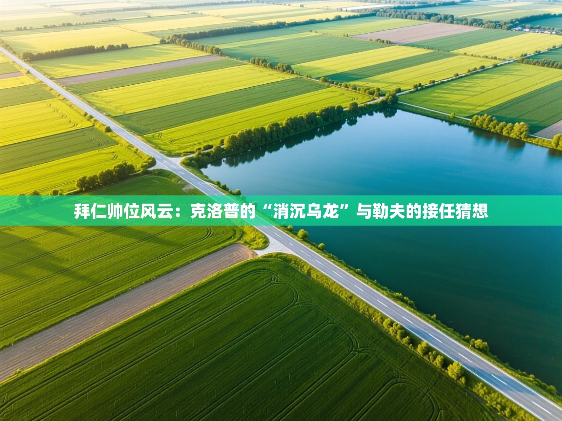 拜仁帅位风云：克洛普的“消沉乌龙”与勒夫的接任猜想