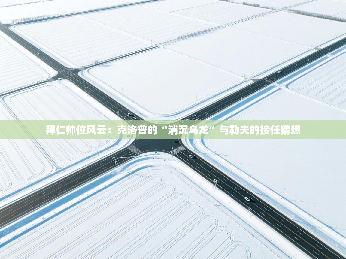 拜仁帅位风云：克洛普的“消沉乌龙”与勒夫的接任猜想  第2张