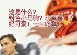 蒙特雷防线稳固，力拼摩洛哥瓦赫达全力拿分的简单介绍
